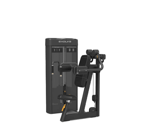 Evolve Prime Series Selectorized Lateral Raise (PR-222)
