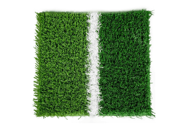 Evolve Artificial Turf (CS-20)